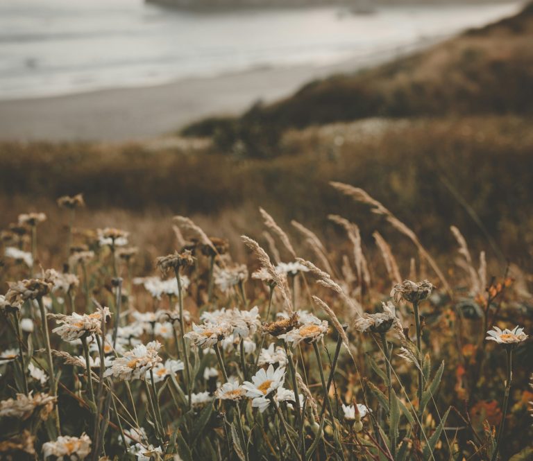 FAQ Header